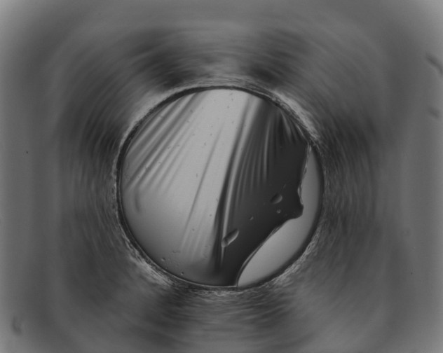 X0000091671184200709131523