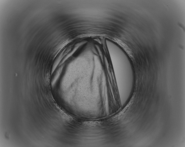 X0000091671185200709131523