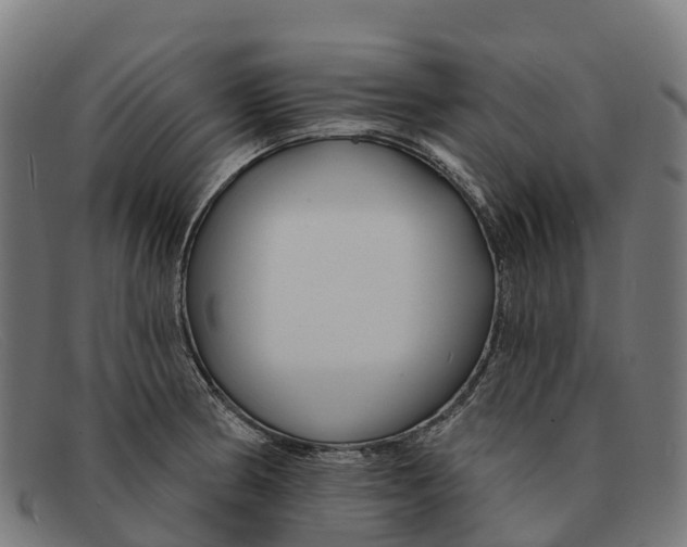 X0000091671186200709131523