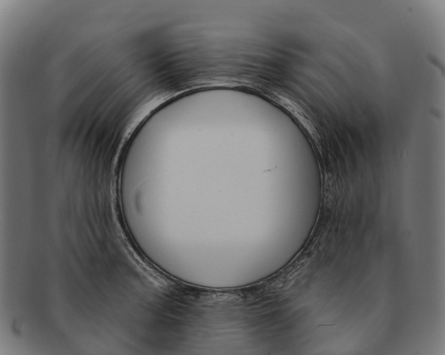 X0000091671187200709131523