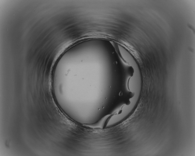 X0000091671188200709131523