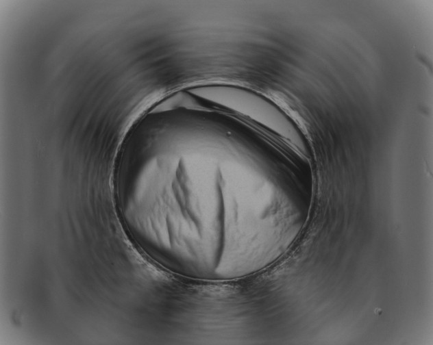 X0000091671189200709131523