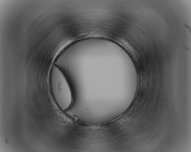 X0000091671190200709131523