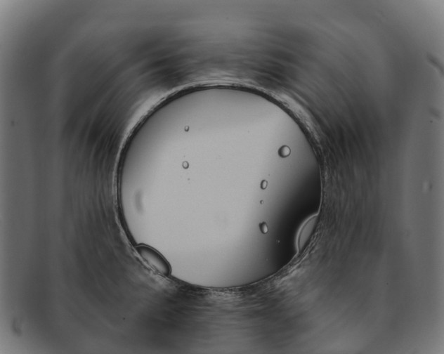 X0000091671191200709131523