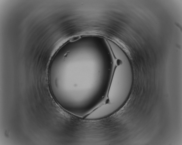 X0000091671192200709131523