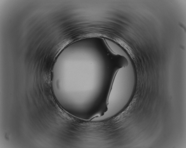 X0000091671193200709131523