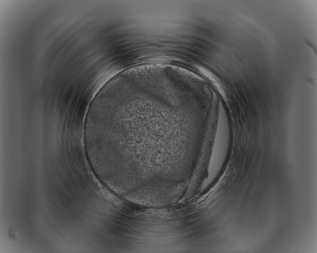 X0000091671194200709131523