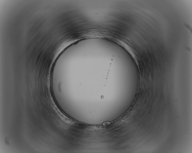 X0000091671195200709131523