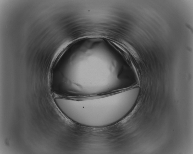 X0000091671196200709131523