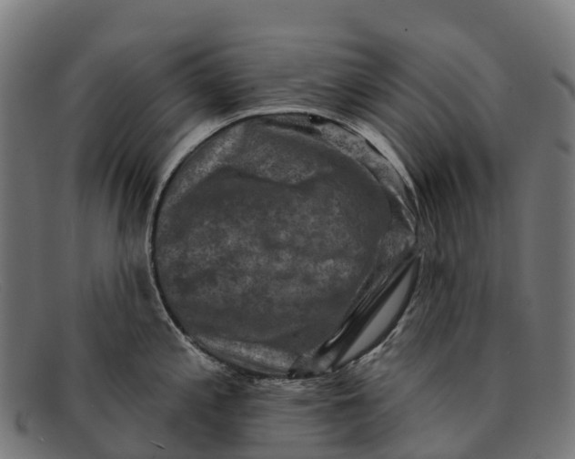 X0000091671197200709131523