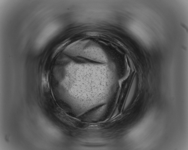 X0000091671198200709131523