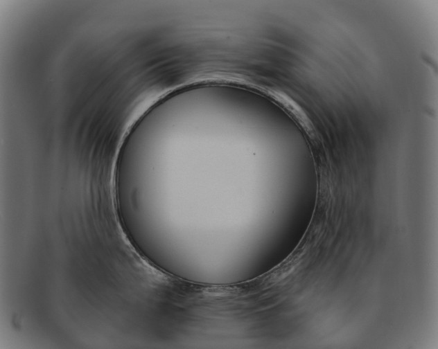 X0000091671199200709131522