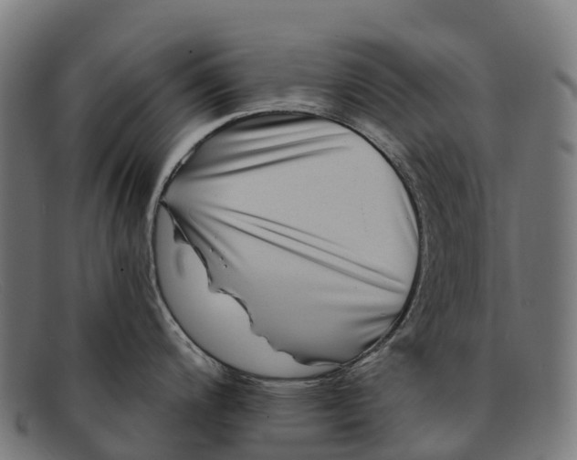 X0000091671200200709131522