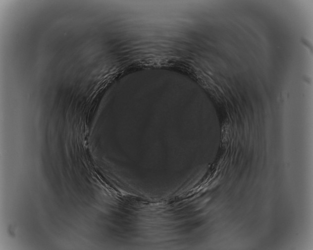 X0000091671202200709131522