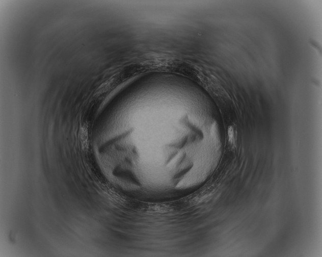 X0000091671203200709131522