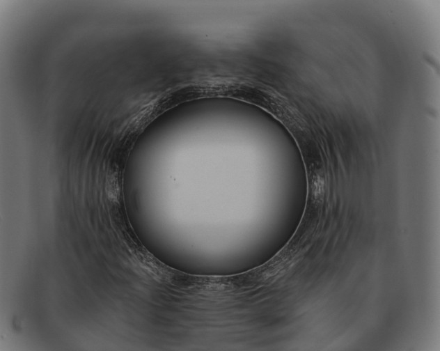 X0000091671204200709131522