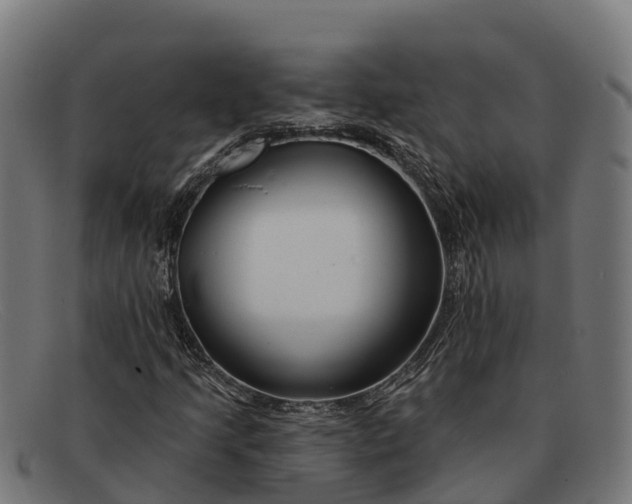 X0000091671205200709131522