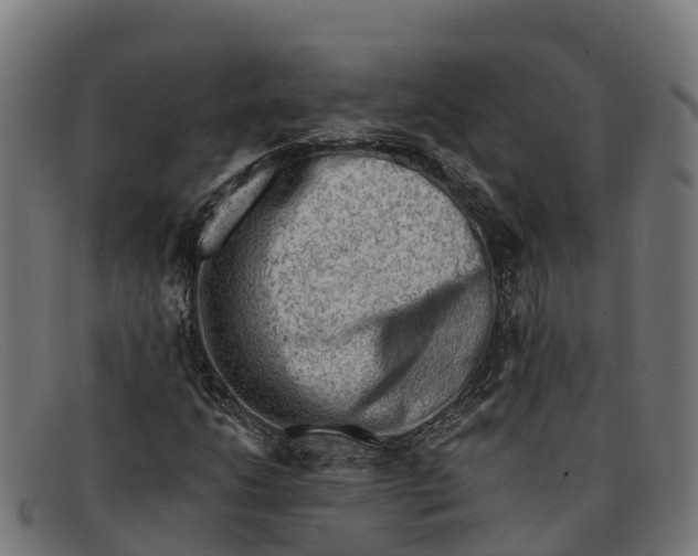 X0000091671206200709131522