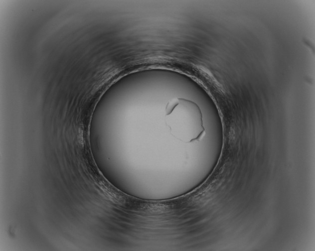 X0000091671209200709131522