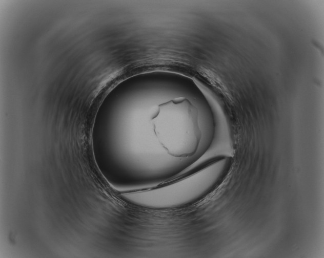 X0000091671210200709131522