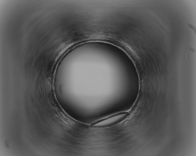 X0000091671212200709131522