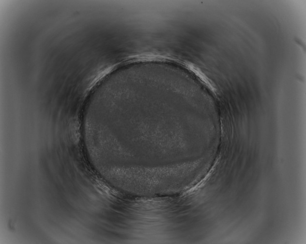 X0000091671213200709131522