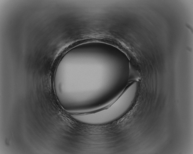 X0000091671214200709131522