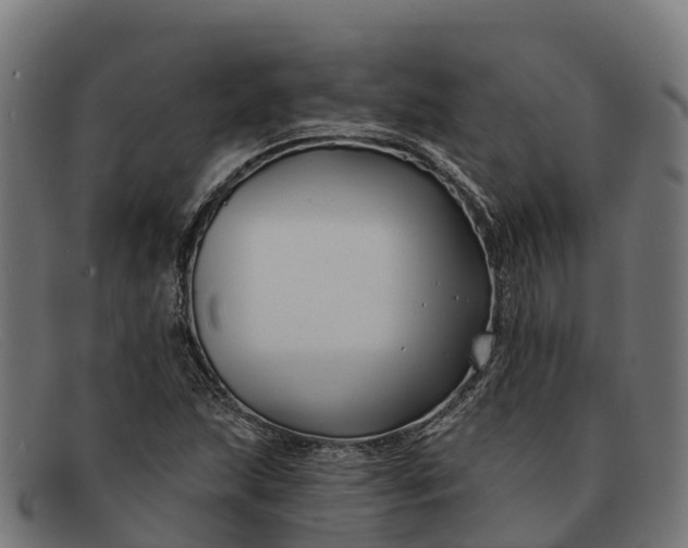 X0000091671215200709131522