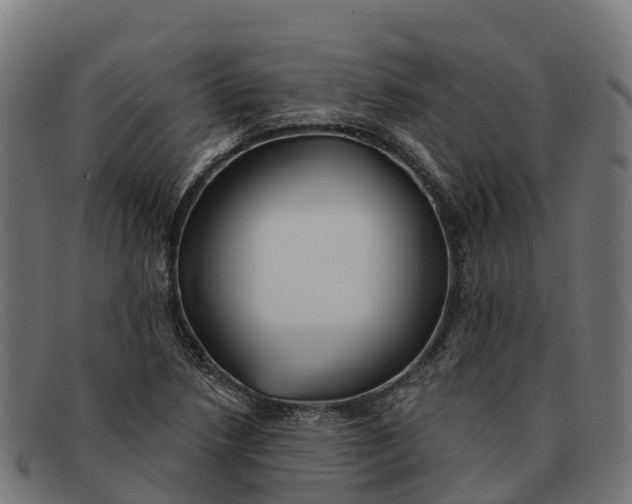 X0000091671218200709131522