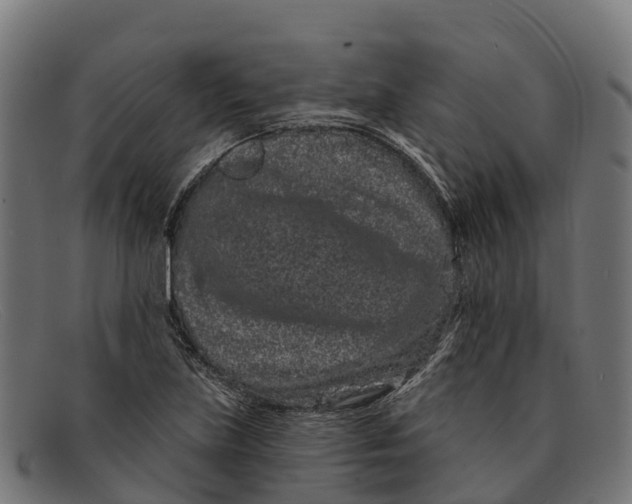 X0000091671219200709131522