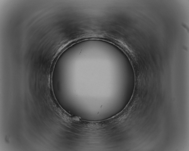 X0000091671220200709131522