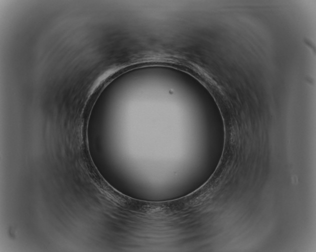 X0000091671222200709131522