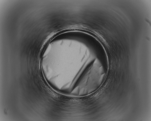 X0000091671224200709131522