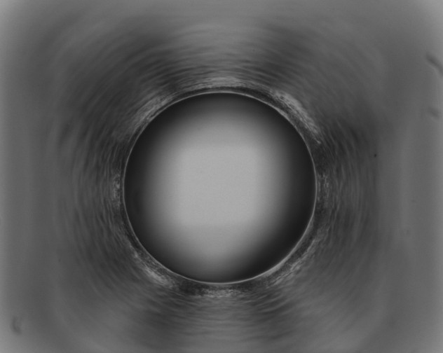 X0000091671225200709131522