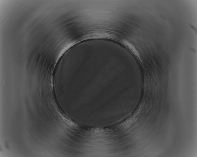 X0000091671226200709131522