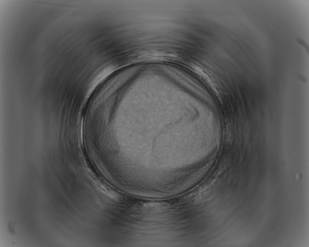 X0000091671227200709131522