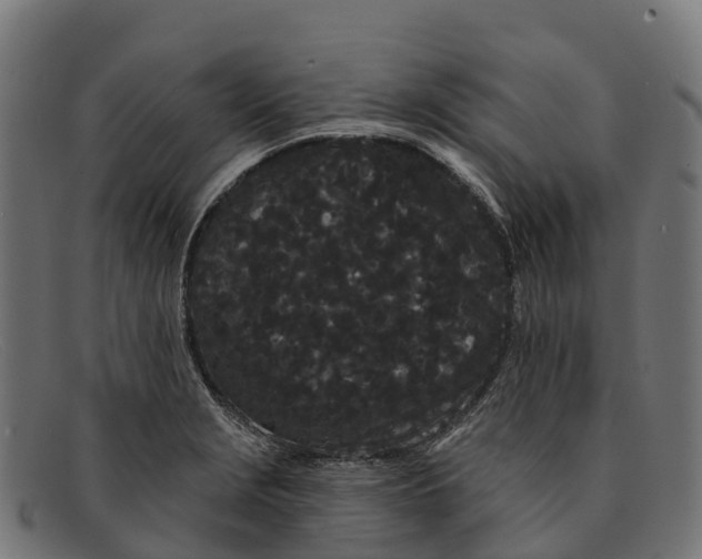 X0000091671229200709131522