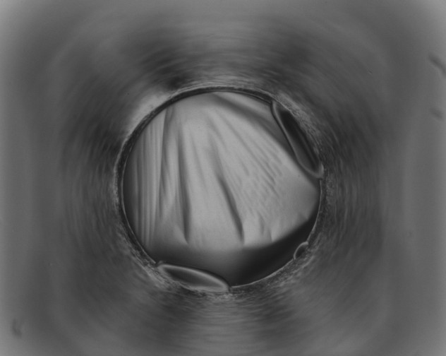 X0000091671230200709131522