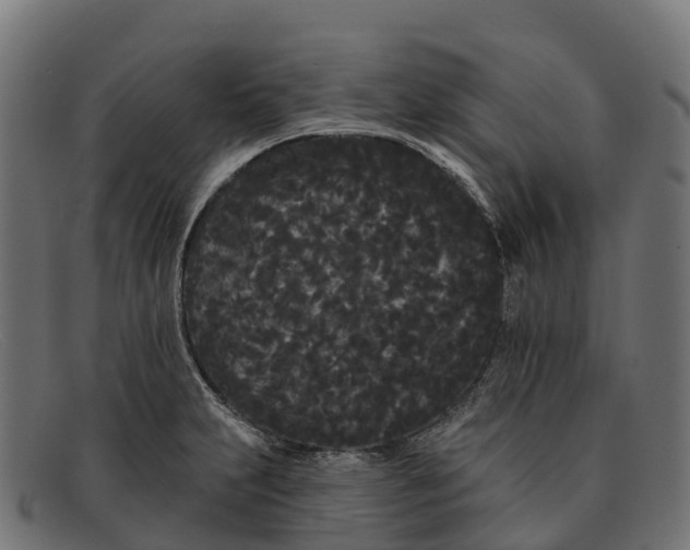 X0000091671231200709131522