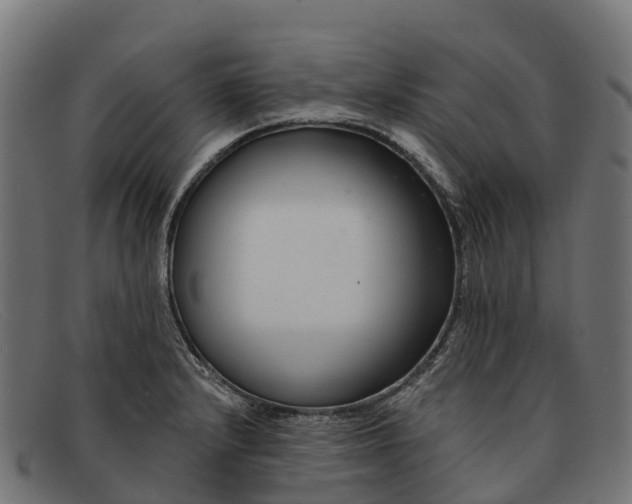 X0000091671232200709131522