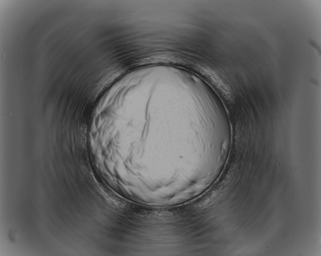 X0000091671233200709131522