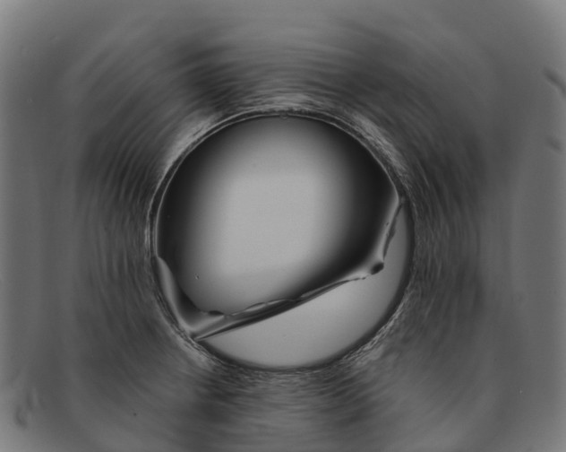 X0000091671234200709131522