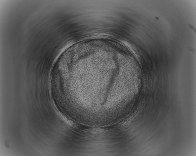 X0000091671235200709131522