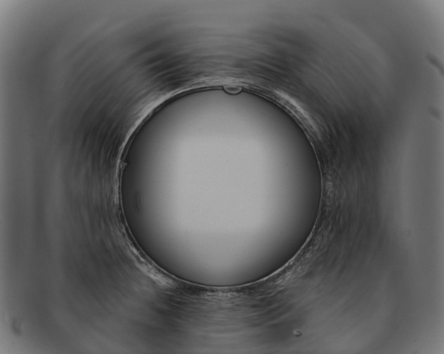 X0000091671236200709131522