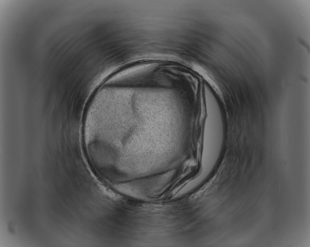 X0000091671237200709131522