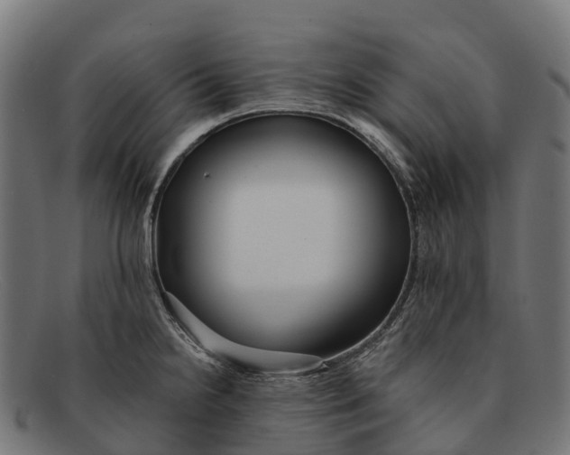 X0000091671238200709131522