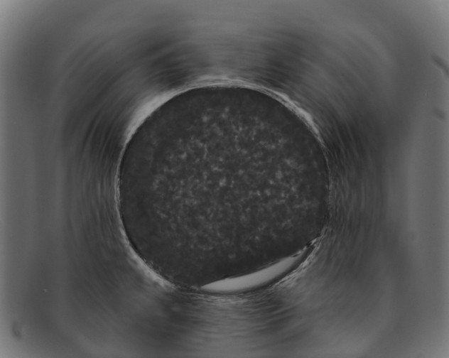 X0000091671239200709131522