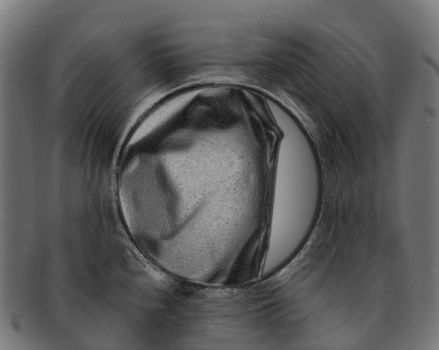 X0000091671240200709131522