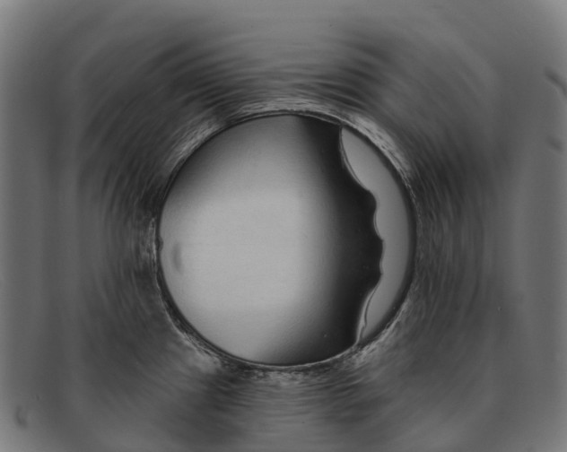 X0000091671241200709131522