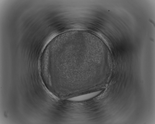 X0000091671243200709131522